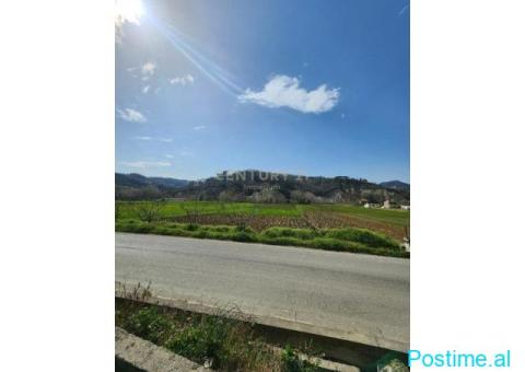 Tokë për Shitje buze rruge në Maknor Peze Helmes e Tiranës - - 1/4