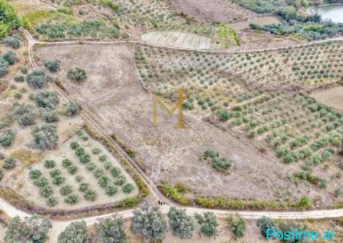 Tokë 5,800 m² për shitje në Golem – Ideale për agroturizëm d - 2/3