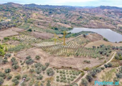 Tokë 5,800 m² për shitje në Golem – Ideale për agroturizëm d - 3/3
