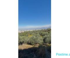 Shiten 770 + 1000 m² tokë, Rruga e Garunjës, Liqeni i Thatë