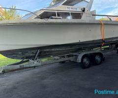 Shitet Adonya yacht