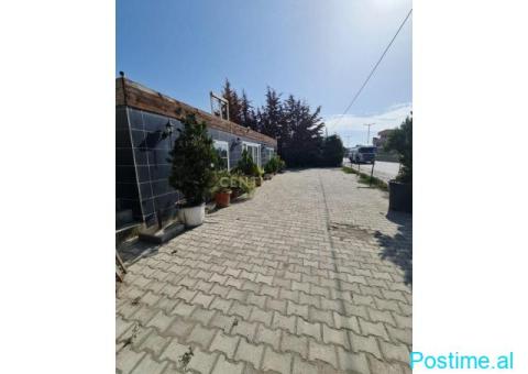 SHITET AMBIENT BIZNESI NE RRUGEN KRYESORE, SHKOZET - 10/10