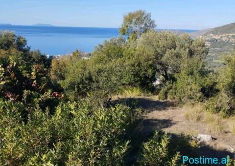 Shitet tokë në Borsh me Çertifikatë 1200 m² 180.000 € - 3/6