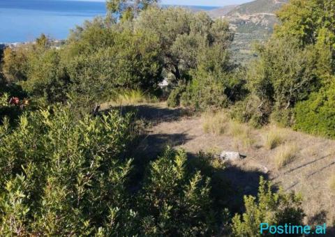Shitet tokë në Borsh me Çertifikatë 1200 m² 180.000 € - 5/6