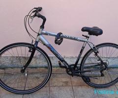 Biciklete per te rritur TORPADO