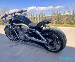 HARLEY DAVIDSON