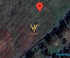 SHITET TOKE 1.000 M2 NE QERRET 350.000 EURO