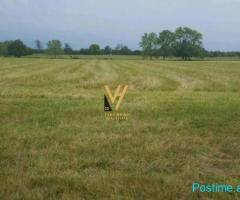 SHITET TOKE INDUSTRIALE 24.000 M2 NE MAMINAS,DURRES 960.000E
