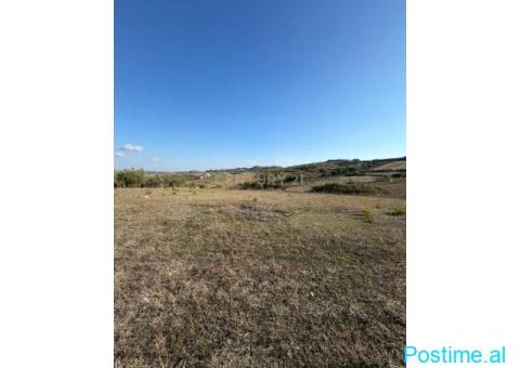 TOKË NË SHITJE – 5,000 m² | ARAPAJ, PRANË RESORT VINEAS - 3/3