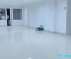 AMBIENT BIZNESI ME QERA 170 M2 ASTIR 2000 EURO
