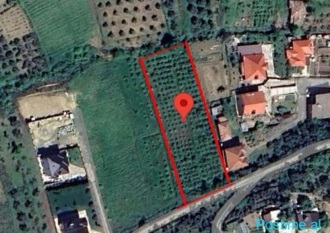 SHITET TOKE 2400M2 PREZE
