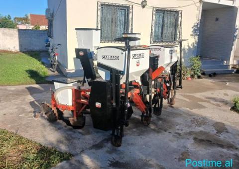 Makin misri carraro - 3/5