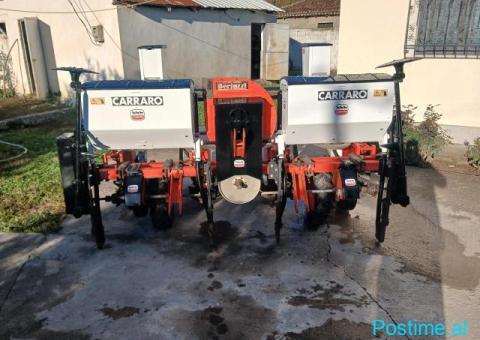 Makin misri carraro - 4/5