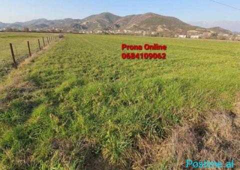 SHITET 11.500 m2 Tokë në Tagan Petrelë - 1/3