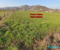 SHITET 11.500 m2 Tokë në Tagan Petrelë