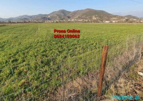 SHITET 11.500 m2 Tokë në Tagan Petrelë - 2/3
