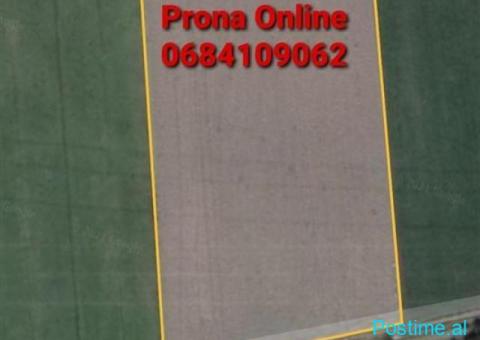 SHITET 11.500 m2 Tokë në Tagan Petrelë - 3/3
