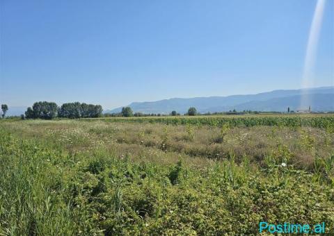 Okazione shitet prona 6000 metra me çertefikat pronesie