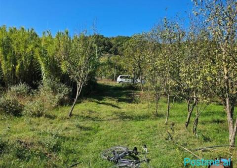 Shitet prona 1550m2 Me çertefikate pronesie Adresa Berxulle - 1/4