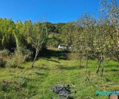 Shitet prona 1550m2 Me çertefikate pronesie Adresa Berxulle