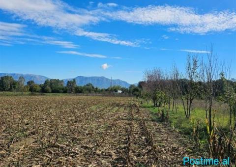Shitet prona 1550m2 Me çertefikate pronesie Adresa Berxulle - 3/4
