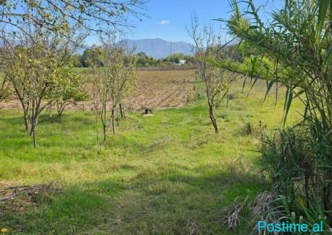 Shitet prona 1550m2 Me çertefikate pronesie Adresa Berxulle - 4/4