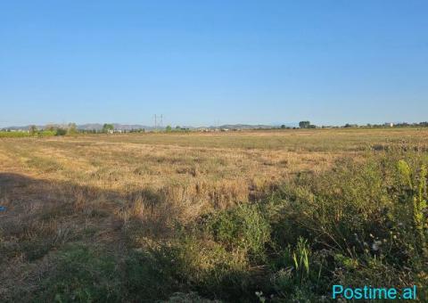 Okazion shitet prona 4000m2 Me Çertefikate pronesie Adresa K - 3/9