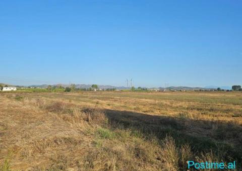Okazion shitet prona 4000m2 Me Çertefikate pronesie Adresa K - 5/9