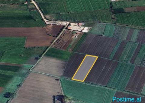 Okazion shitet prona 4000m2 Me Çertefikate pronesie Adresa K - 7/9