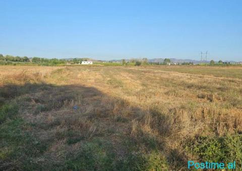 Okazion shitet prona 4000m2 Me Çertefikate pronesie Adresa K - 8/9