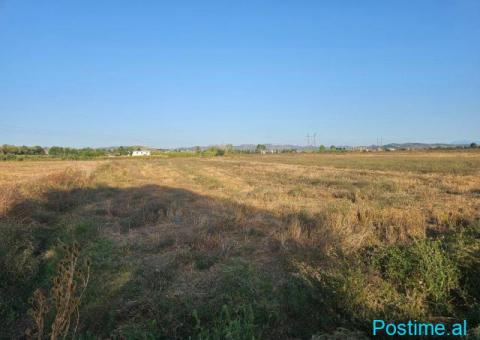 Okazion shitet prona 4000m2 Me Çertefikate pronesie Adresa K - 9/9