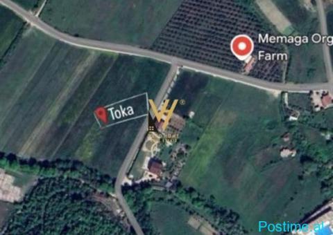 SHITET TOKE 10.000M2 NE PETRELE 700.000 EURO