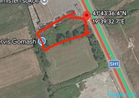 Shitet toke ne autostrade Lezhe (700m2) - 2/2
