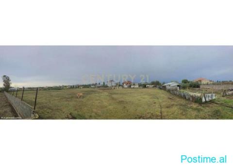 +355698329326 Tokë për Shitje 6110 m2 në Shënavlash, Afer Rr - 1/9