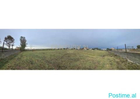 +355698329326 Tokë për Shitje 6110 m2 në Shënavlash, Afer Rr - 4/9