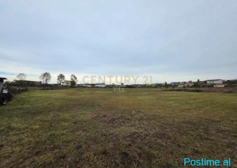 +355698329326 Tokë për Shitje 6110 m2 në Shënavlash, Afer Rr - 8/9