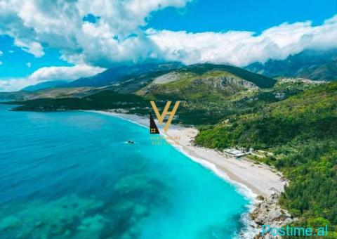 SHITET TRUALL 23.650 M2 NE LIVADH, HIMARE