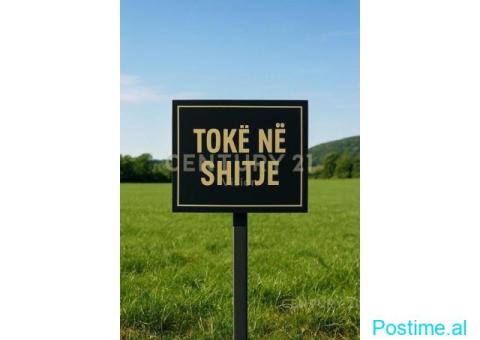 Tokë për Shitje në Golem, Shkodër | 4236 m²