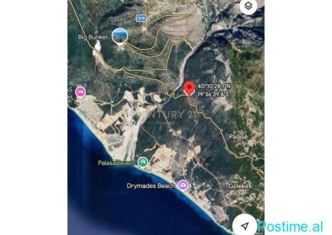 DHERMI, SHESIM TOKE BUZE RRUGE - 3/3
