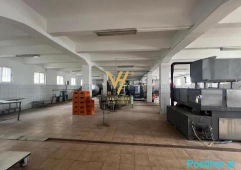 SHITET GODINE TREKATESHE 1.200 M2 NE SHKOZE 520.000 EURO - 3/6