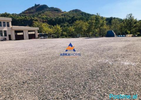 JEPET ME QIRA KAPANON 7.500 M2 'MULLET' 7500 EURO - 2/4