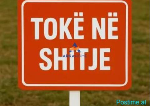 SHITET TOKE 660M2 'KODRA E PRIFTIT , RRUGA MARIE KRAJA ' 330