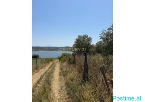0683005058 SHITET TOKË NË MANËZ–MUNDËSI PËR AGROTURIZEM - 2/10