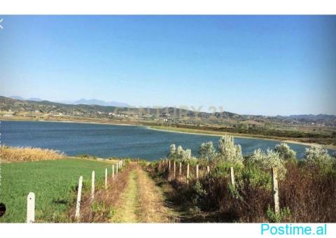 0683005058 SHITET TOKË NË MANËZ–MUNDËSI PËR AGROTURIZEM - 6/10