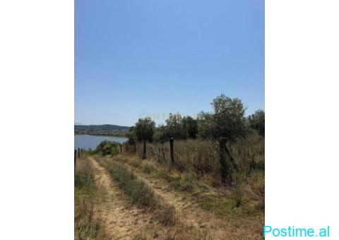 0683005058 SHITET TOKË NË MANËZ–MUNDËSI PËR AGROTURIZEM - 7/10