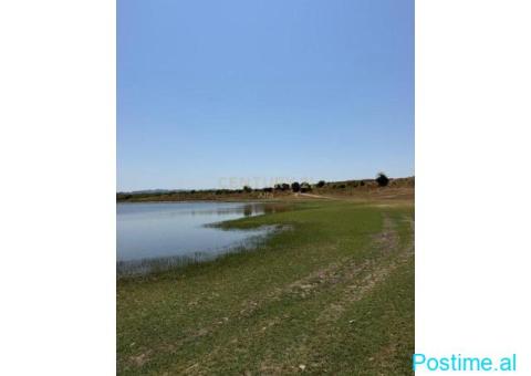 0683005058 SHITET TOKË NË MANËZ–MUNDËSI PËR AGROTURIZEM - 10/10