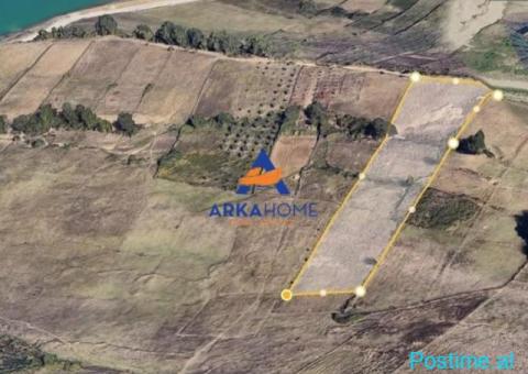 SHITET TRUALL 6000 M2 'LIQENI I FARKES' 2.100.000 EURO - 3/3