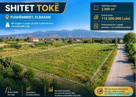 🌿 SHITET TOKË – FUSHËMBRET, ELBASAN 📍 - 1/3