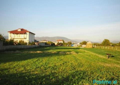 🌿 SHITET TOKË – FUSHËMBRET, ELBASAN 📍 - 2/3