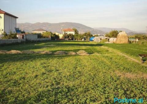 🌿 SHITET TOKË – FUSHËMBRET, ELBASAN 📍 - 3/3